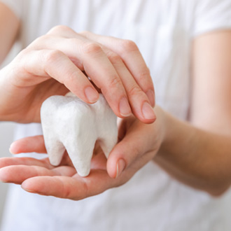 a patient holding a model tooth carefully in her cupped hands